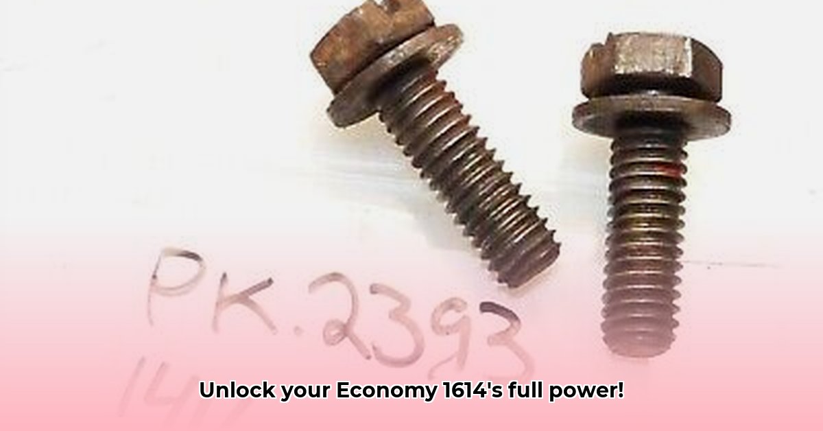 economy-1614-tractor-carburator
